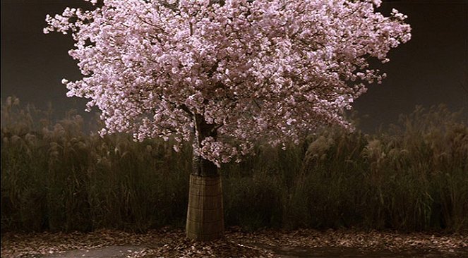 Sakura v rozpuku - Z filmu