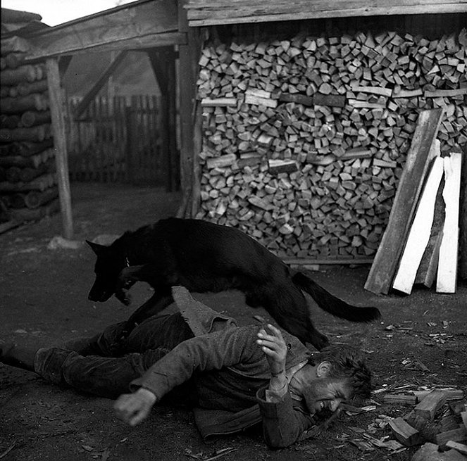 Černý vlk - Z filmu - František Peterka