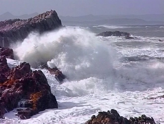 Dobrodružství oceánů: Carcharias - Velký bílý - Z filmu