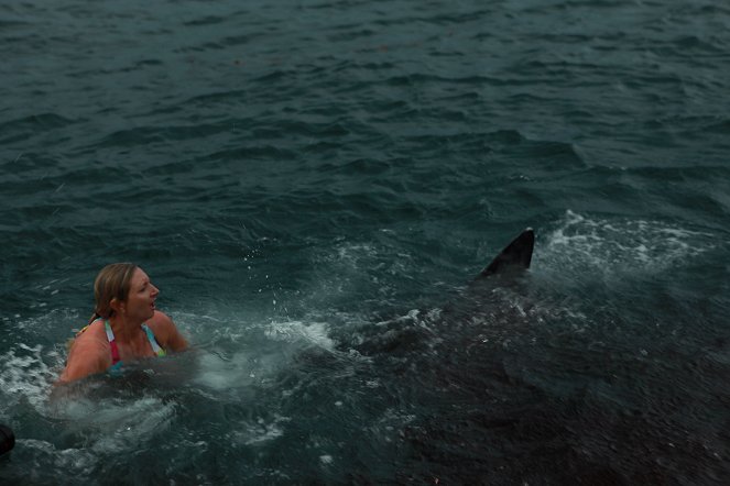 Nevyzpytatelní žraloci - Z filmu