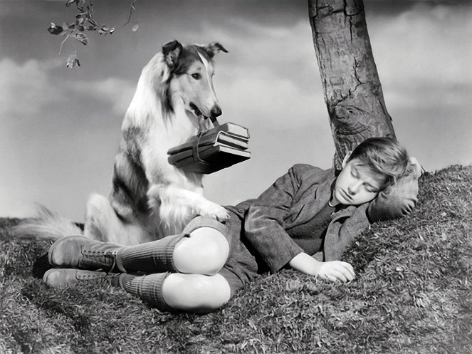 Lassie se vrací - Z filmu - Pal, Roddy McDowall