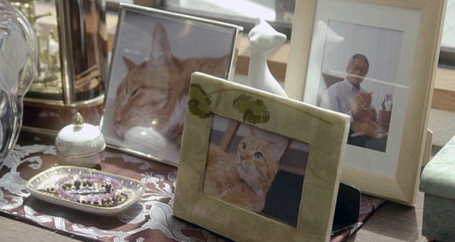 Půjčovna koček - Z filmu