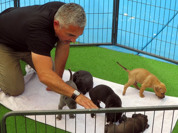 Cesar Millan