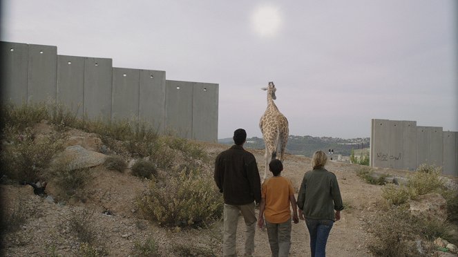 Žirafáda - Z filmu