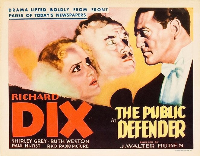 The Public Defender - Fotosky