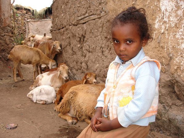 Na cestě - Na cestě po severu Etiopie - Z filmu