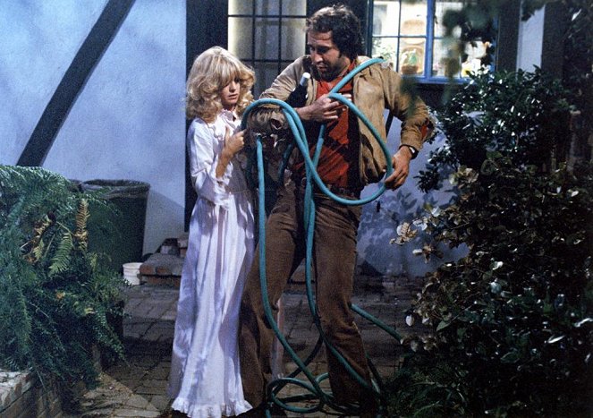 Goldie Hawn, Chevy Chase