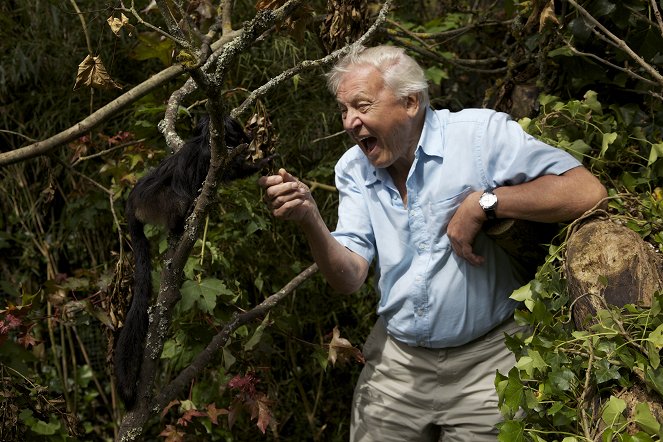 Svět přírody - Archa Davida Attenborougha - Z filmu - David Attenborough