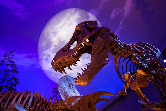 Tyranosaurus – mistr přežití - Z filmu