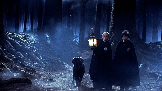Harry Potter a Kámen mudrců - Z filmu - Tom Felton, Daniel Radcliffe
