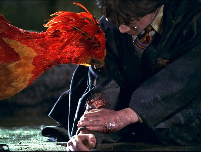 Harry Potter a Tajemná komnata - Z filmu - Daniel Radcliffe