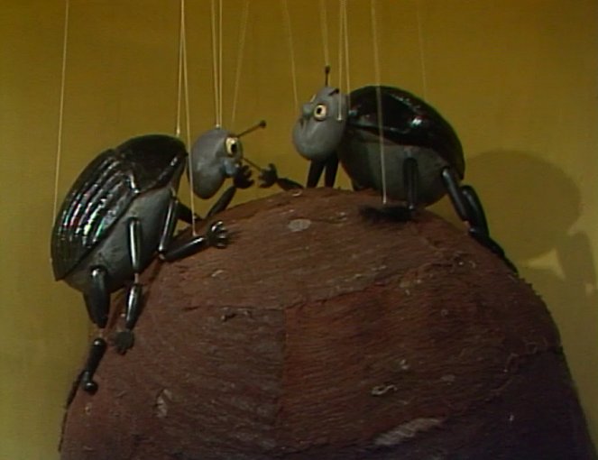 Ze života hmyzu - Z filmu