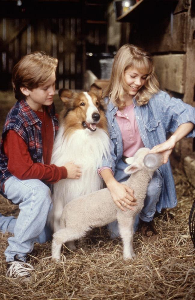 Lassie - Z filmu - Tom Guiry, Howard, Michelle Williams