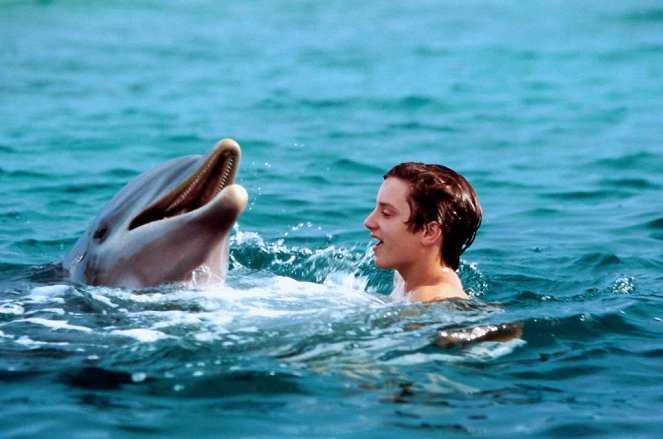 Delfín Filip - Z filmu - Elijah Wood