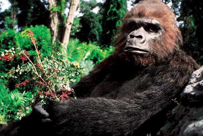 King Kong žije - Z filmu