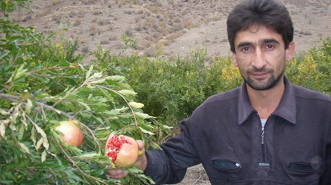 Rajské ovoce z Arménie - Z filmu