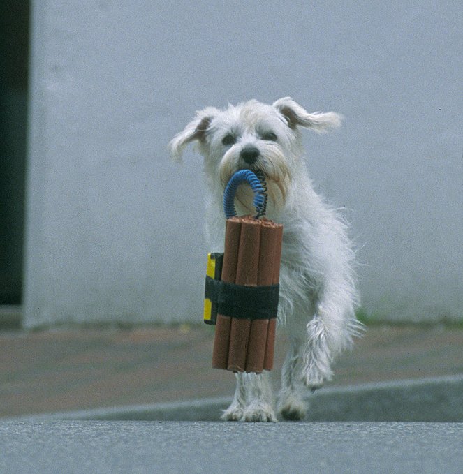 Ein Hund für alle Fälle - Z filmu