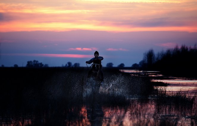 Divocí koně v dunajské deltě - Z filmu