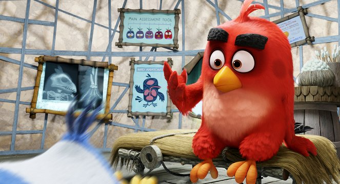 Angry Birds ve filmu - Z filmu