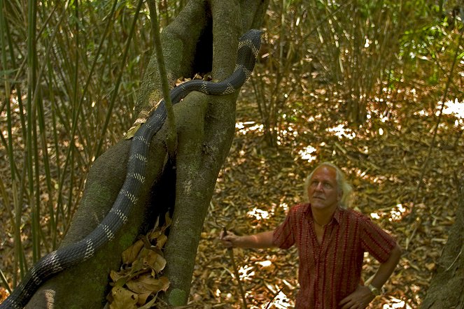 Královna kobra a já - Z filmu