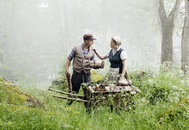 Nils Holgersson a jeho zázračná cesta - Z filmu