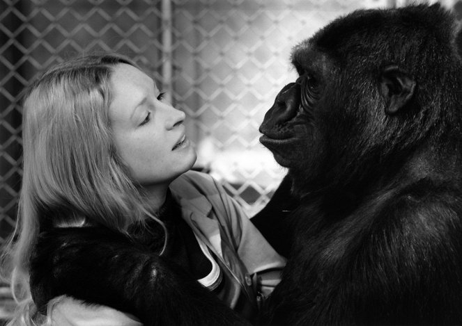 Koko, le gorille qui parle - Z filmu - Penny Patterson