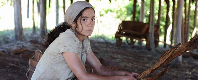 Ardor - Z filmu - Alice Braga