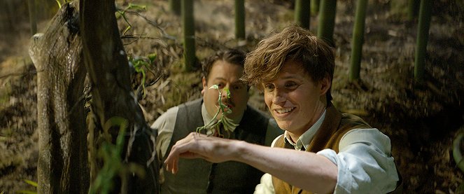 Fantastická zvířata a kde je najít - Z filmu - Dan Fogler, Eddie Redmayne