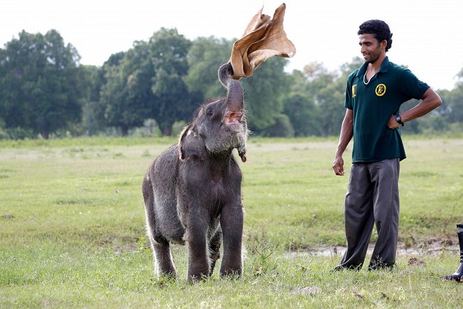 Svět přírody - Sri Lanka: Elephant Island - Z filmu