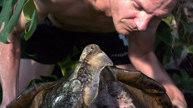 Universum: Turtle Hero - Ein Leben für die Schildkröten - Z filmu