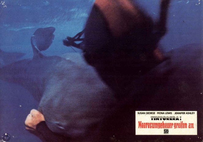 Tintorera, žralok zabiják - Fotosky