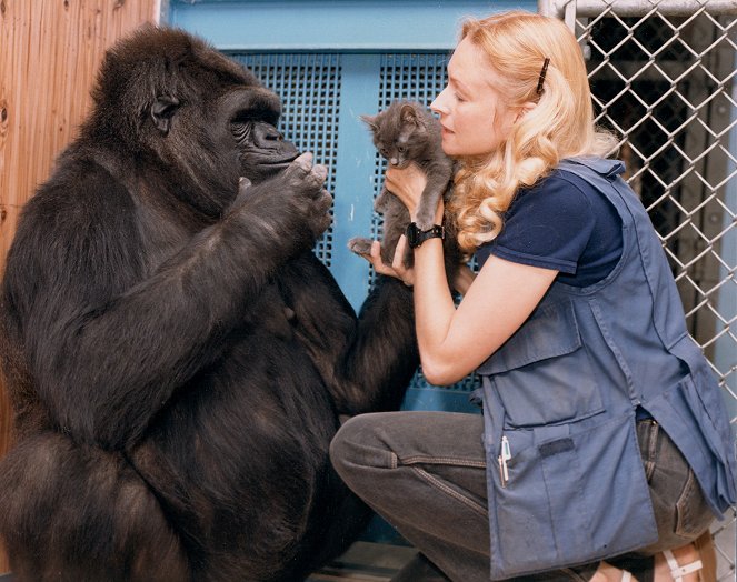 Koko: A Tale of a Talking Gorilla - Z filmu - Penny Patterson