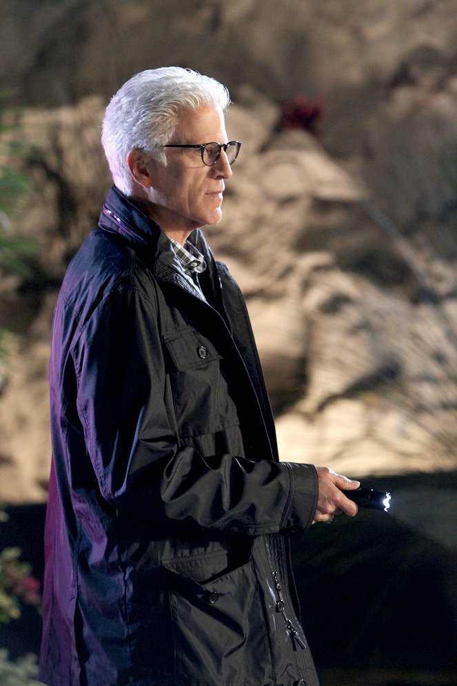 Ted Danson