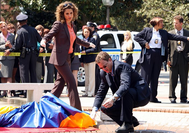 Melina Kanakaredes, Gary Sinise