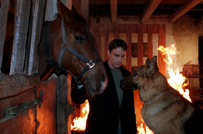 Komisař Rex - Kůň za milióny - Z filmu - Gedeon Burkhard, pes Rhett Butler
