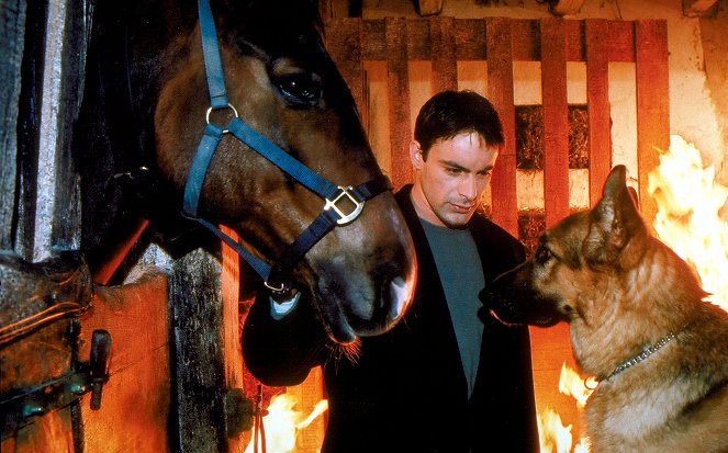Komisař Rex - Kůň za milióny - Z filmu - Gedeon Burkhard, pes Rhett Butler