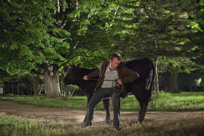 Hung - Na velikosti záleží - Krávy - Z filmu - Thomas Jane