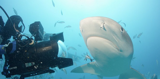 Sharkwater: Extinction - Z filmu