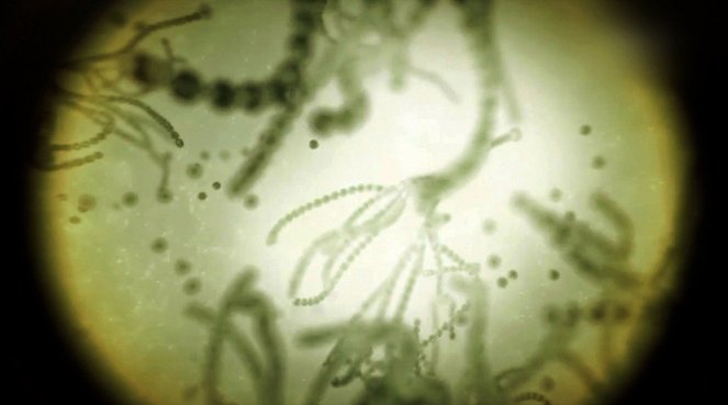 Pasteur a Koch: Souboj velikánů světa mikrobů - Z filmu