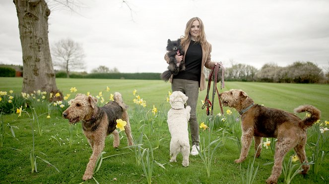100 nejoblíbenějších britských psů - Z filmu