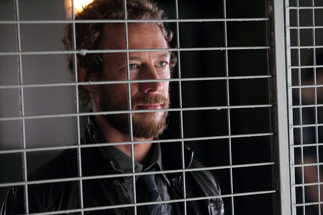 Caged Fae - Kris Holden-Ried