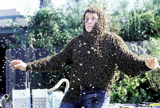Malcolm in the Middle - The Bots and the Bees - Photos