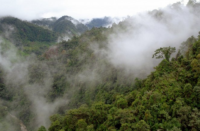 Příroda pod ochranou - Ekvádor – Mlžné lesy - Z filmu