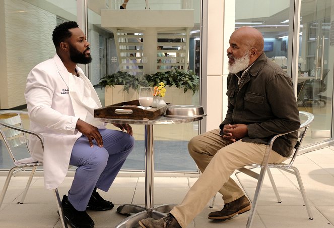 Doktoři - Krev mé krve - Z filmu - Malcolm-Jamal Warner, David Alan Grier