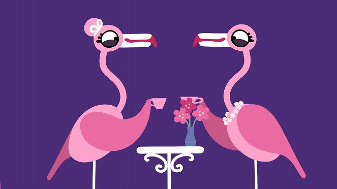 Flamingo - Z filmu