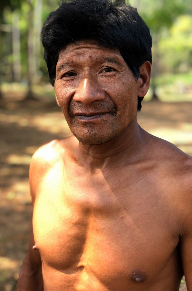 S.O.S. Amazonas: Apokalypse im Regenwald - Z filmu
