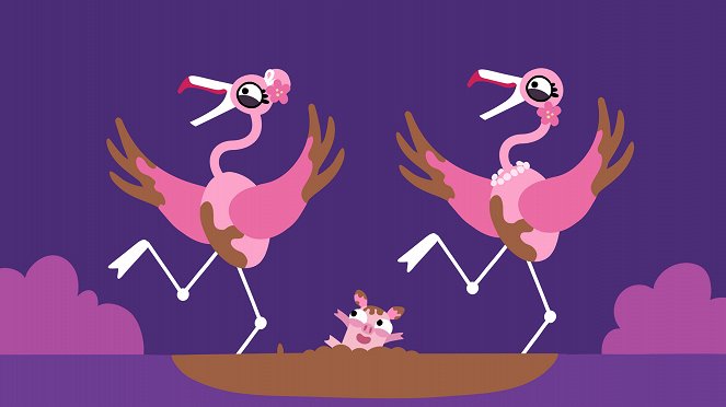 Flamingo - Z filmu