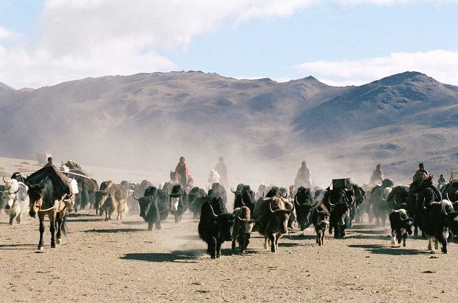S kuchařem kolem světa - Nomade’s Land : Les Changtangs du Ladakh - Z filmu