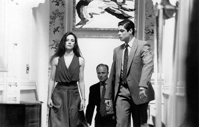 Madeleine Stowe, Ed Harris, Benicio Del Toro