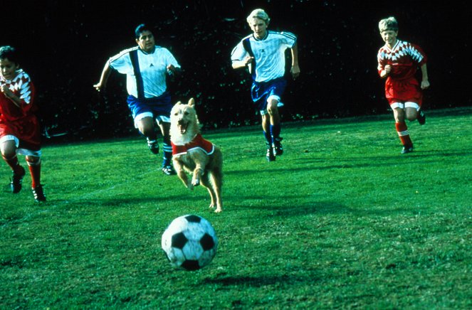 Soccer Dog: The Movie - Z filmu